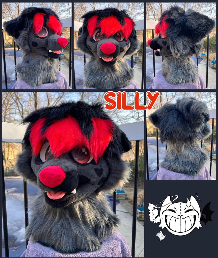 Silly the Dog